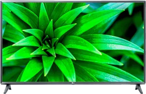 L G T V Green Plant Display PNG image