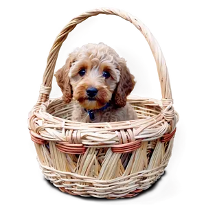 Labradoodle In A Basket Png 06262024 PNG image