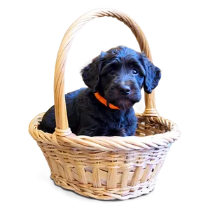 Labradoodle In A Basket PNG 06262024