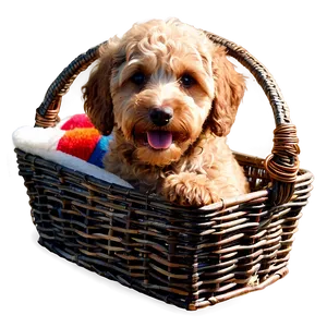 Labradoodle In A Basket Png 2 PNG image