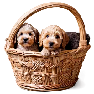 Labradoodle In A Basket PNG Ltx14