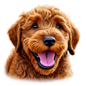 Labradoodle Puppy Yawn Png 8 PNG image