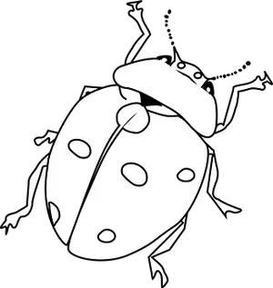 Ladybug