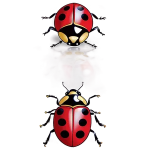 Ladybug Drawing Simple PNG 05242024