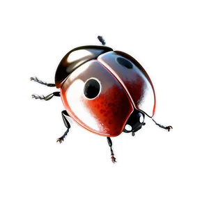 Ladybug Drawing Simple PNG 81