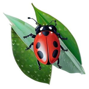 Ladybug Environmental Setting PNG 63 PNG