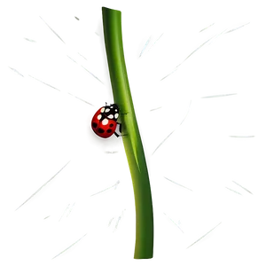 Ladybug Illustration Png 05242024 PNG image