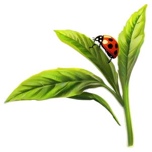 Ladybug In Garden PNG 34