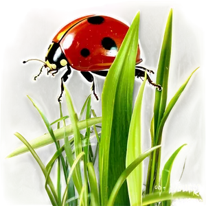 Ladybug In Grass PNG 05242024