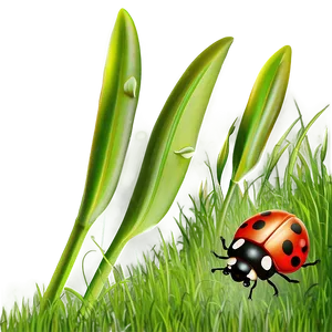 Ladybug In Grass PNG Sej24