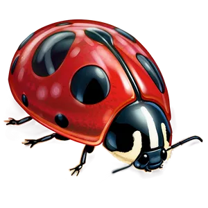 Ladybug In Motion PNG Aqc51 PNG