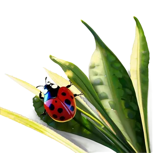 Ladybug In The Sun PNG 10