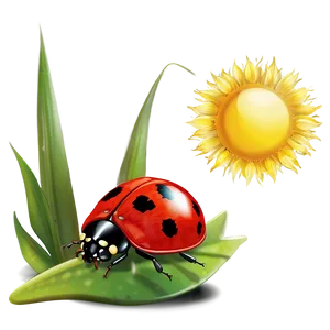 Ladybug In The Sun PNG 32