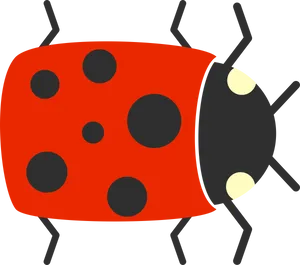 Ladybug PNG image