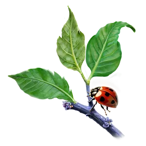Ladybug On A Branch PNG Ejt76