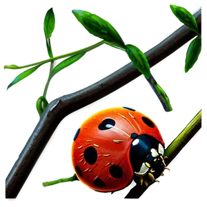 Ladybug On A Branch PNG Nbr