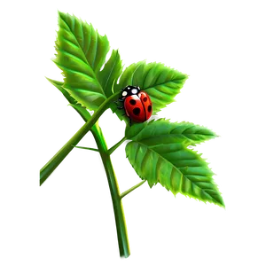 Ladybug On A Branch PNG Sto4
