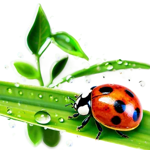 Ladybug On Dewy Leaf PNG Fxs