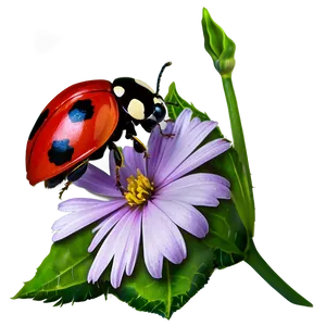 Ladybug On Flower PNG 18