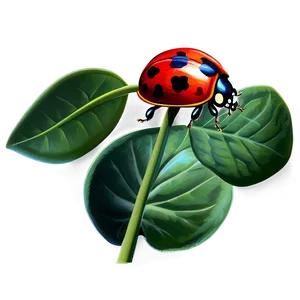 Ladybug On Petal PNG 20 PNG