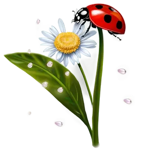 Ladybug On Petal PNG 35 PNG