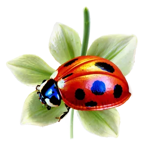 Ladybug On Petal PNG Yaj PNG