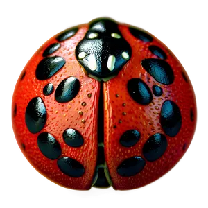Ladybug Pattern Background Png Onm32 PNG image