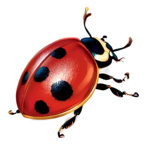 Ladybug PNG Epo