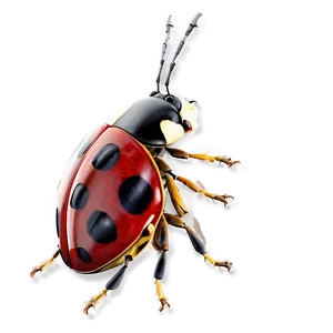 Ladybug Side View PNG 66