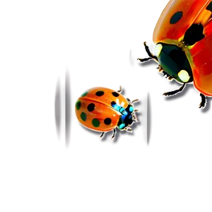 Ladybug Under Microscope PNG 83