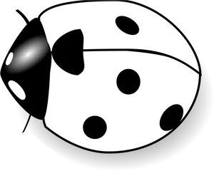 Ladybug Vector Illustration PNG image