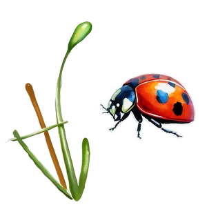 Ladybug Watercolor Painting PNG 05242024