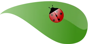 Ladybugon Green Leaf PNG image
