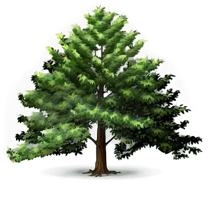 Landscape Tree Elevation Png 06262024 PNG image