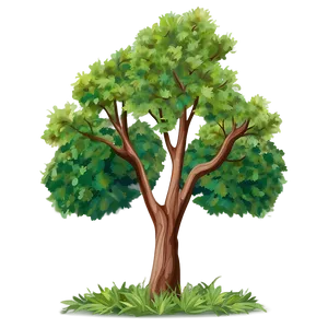 Landscape Tree Elevation Png 50 PNG image