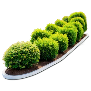 Landscaping Shrubs Png 06122024 PNG image