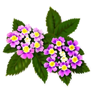 Lantana Flower Illustration PNG 17 PNG