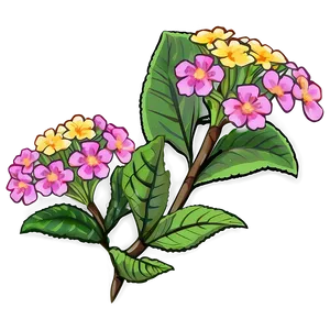 Lantana Flower Illustration PNG Uhd1 PNG