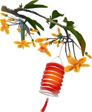 Lantern_ Amidst_ Orange_ Blossoms PNG image