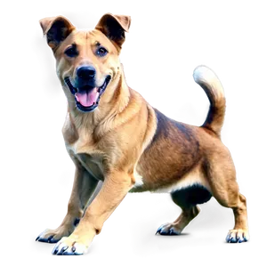 Large Dogs PNG 05242024