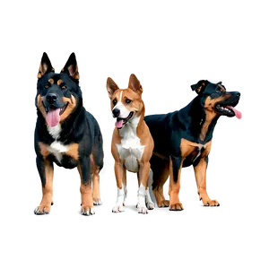 Large Dogs PNG 84
