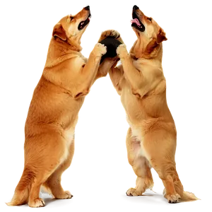 Large Dogs PNG Lpx42