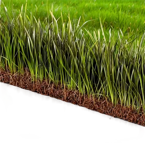 Large Grass Patch Png Gfu37 PNG image