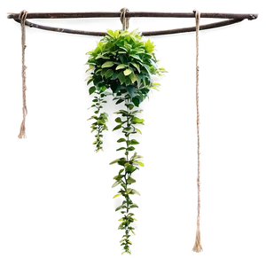 Large Hanging Plant Png 9 PNG image