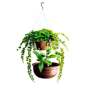 Large Hanging Plant Png Jeg PNG image