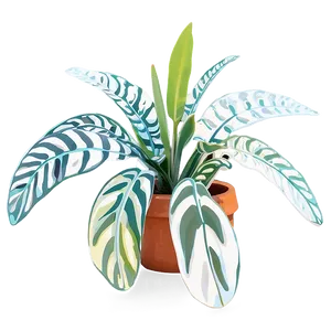 Large Indoor Plants PNG Tpe