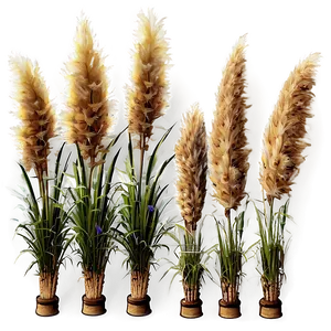 Large Pampas Grass PNG 06122024