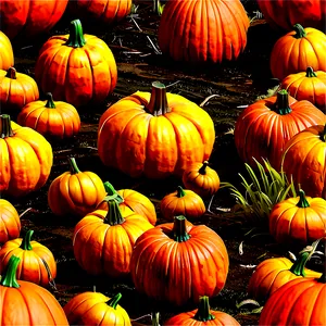 Large Pumpkin Patch Png 06252024 PNG image