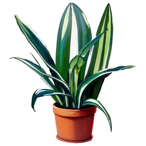 Large Snake Plant Png Etm PNG image