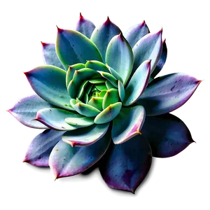 Large Succulent Png Lly90 PNG image